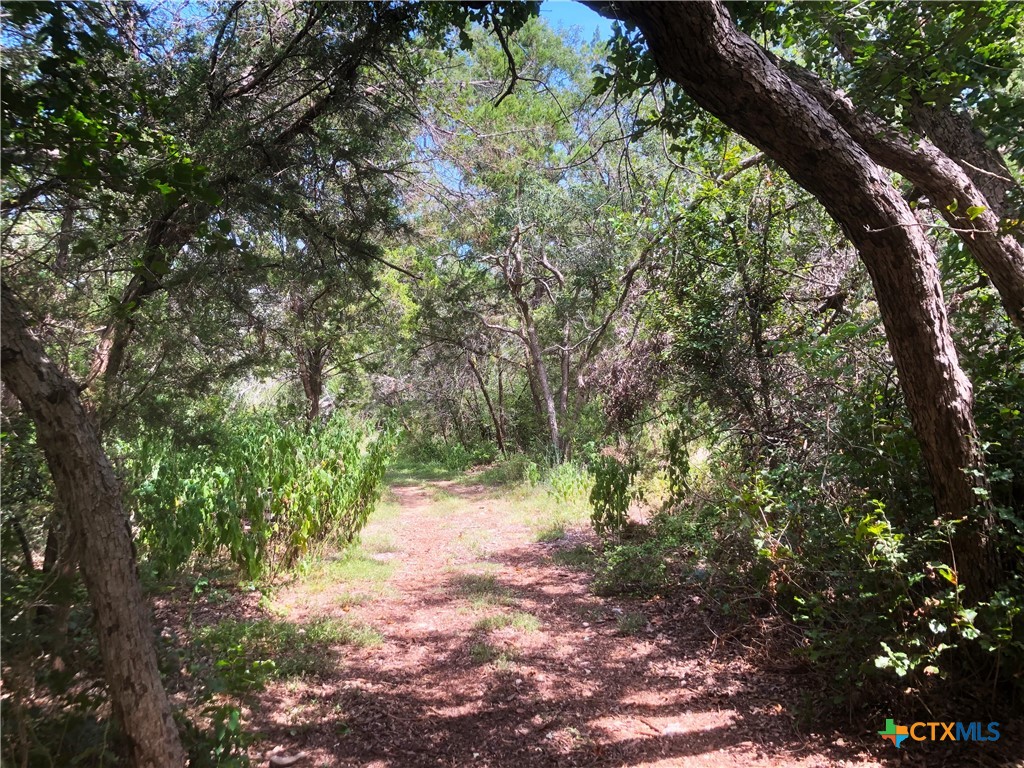 main property photo 9
