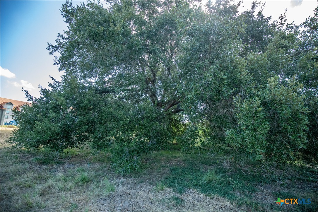 main property photo 25