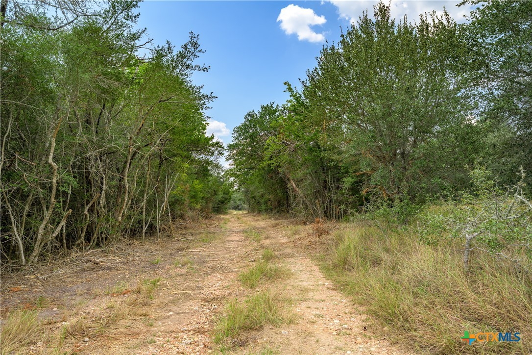 main property photo 15