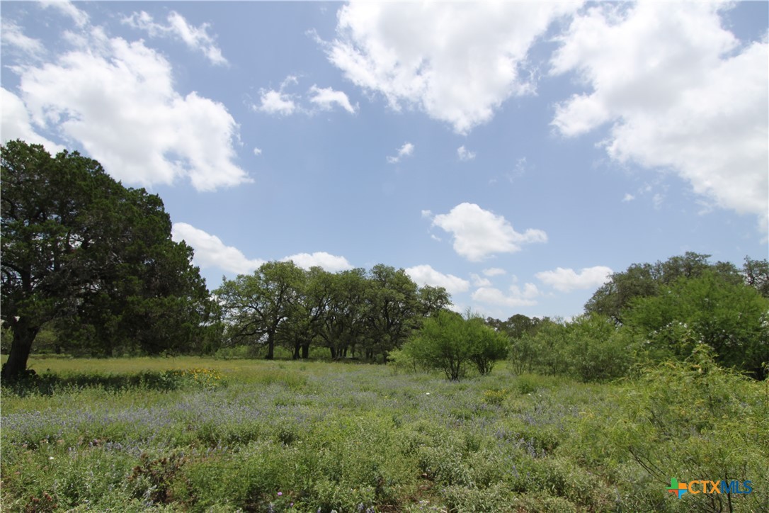main property photo 46