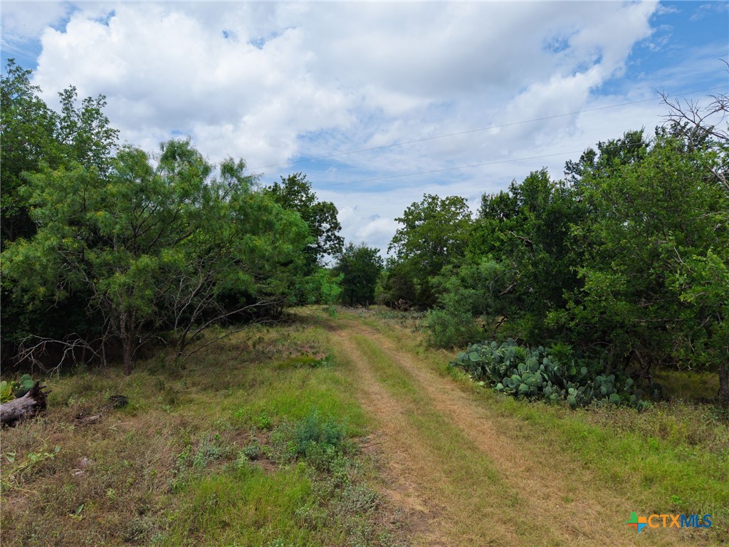main property photo 36