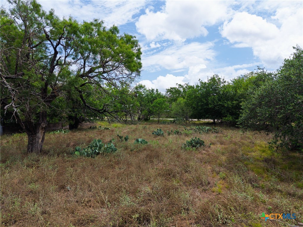 main property photo 37