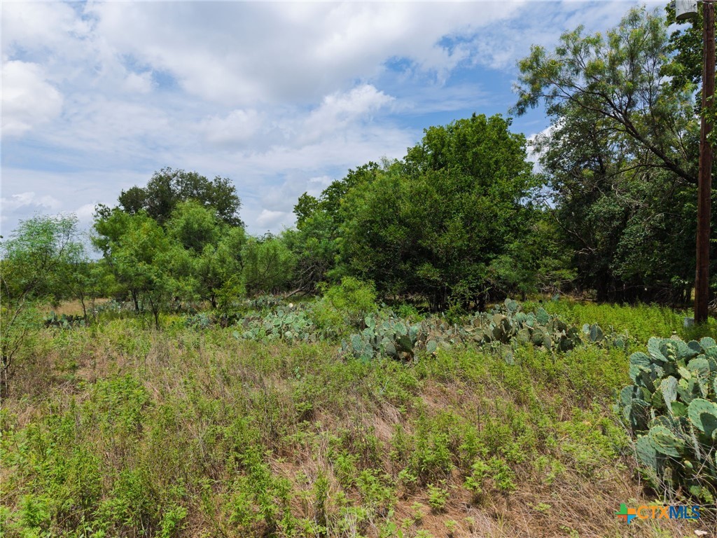 main property photo 39