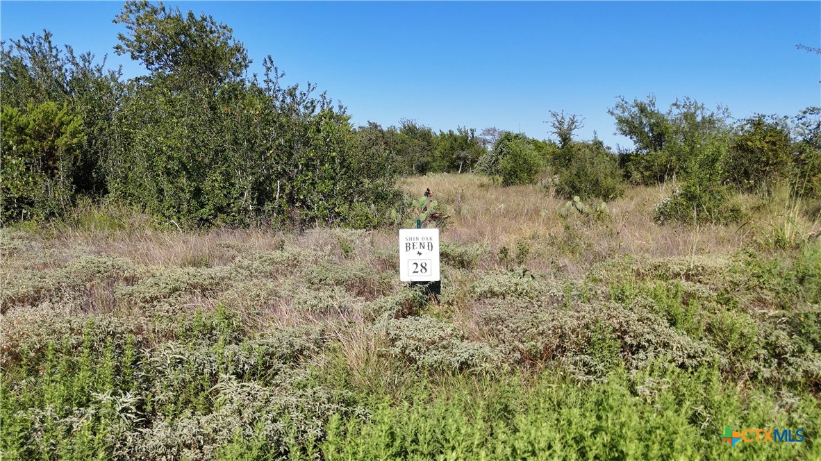 main property photo 4