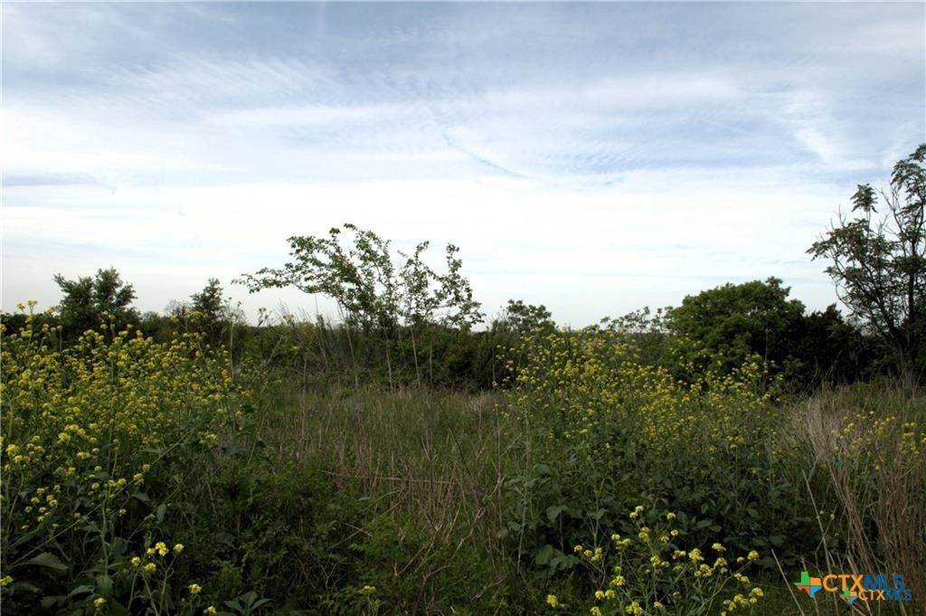 property viewer photo 1