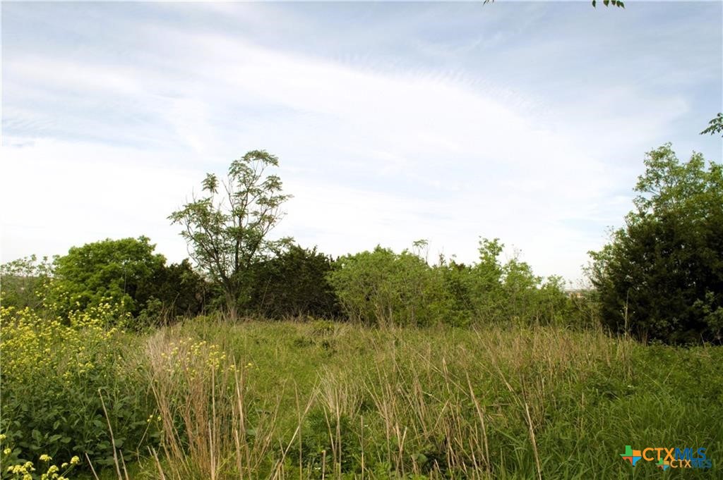 property viewer photo 2