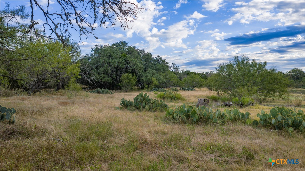 property viewer photo 5