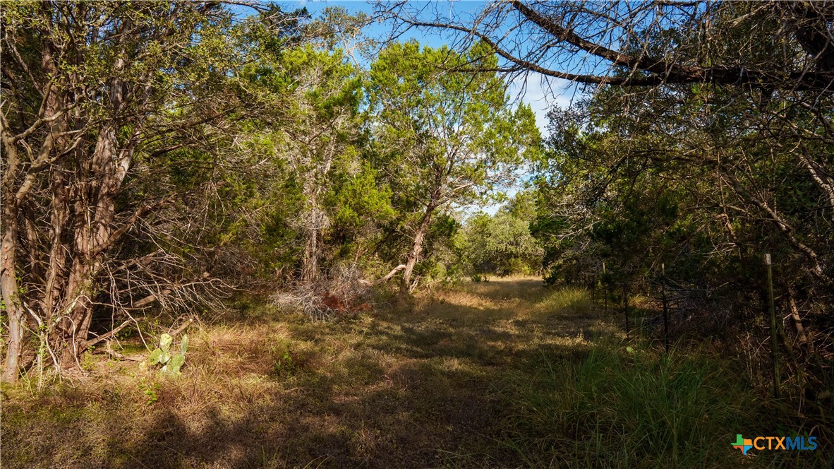 property viewer photo 6