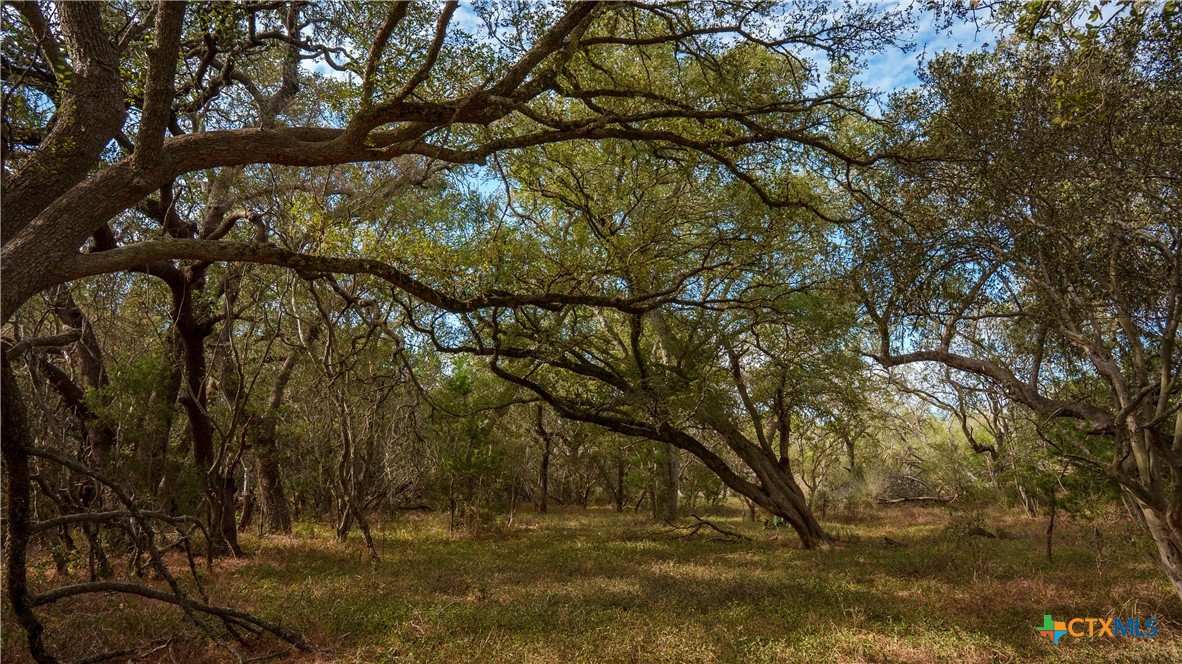 property viewer photo 8