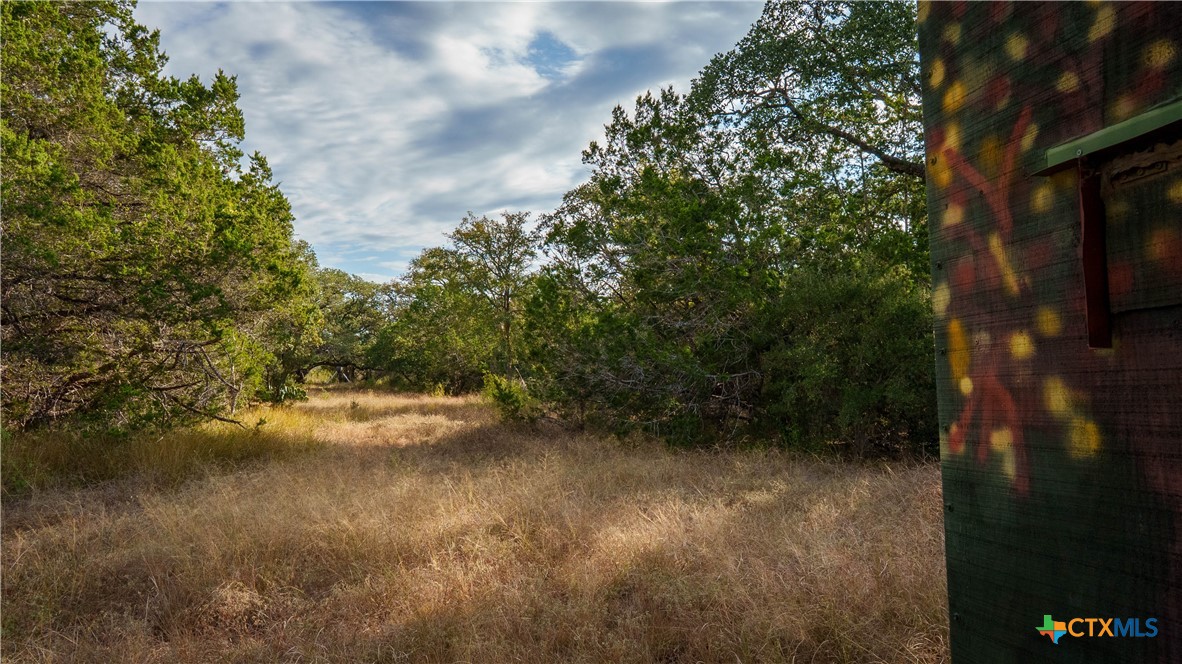 property viewer photo 9