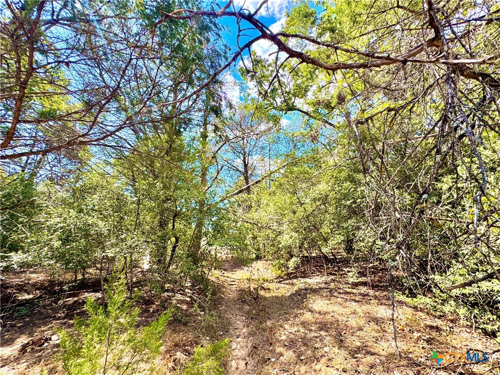 main property photo 10