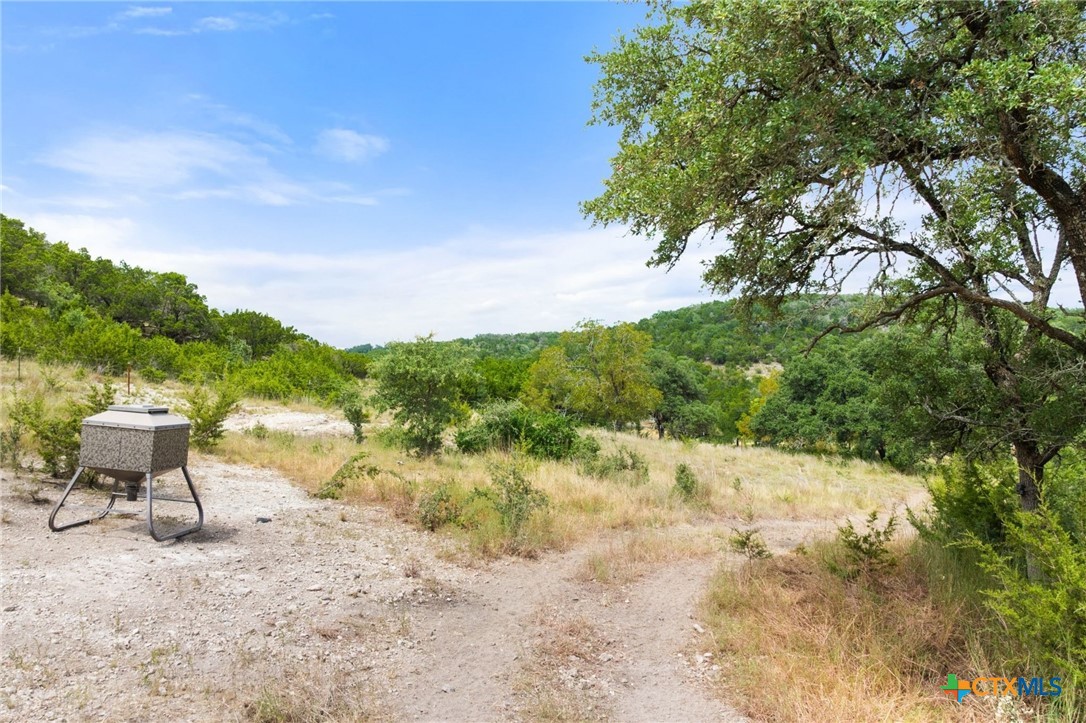 main property photo 41