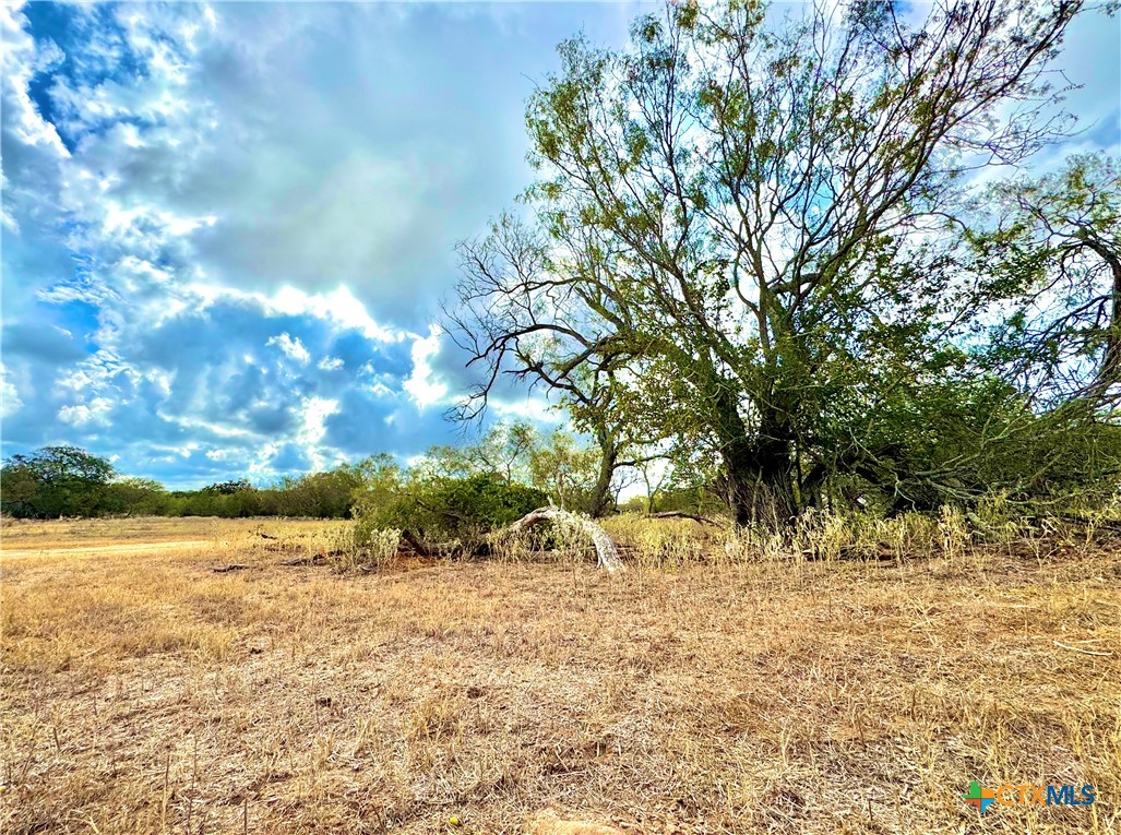 main property photo 19