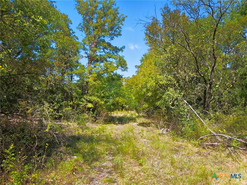 main property photo 35