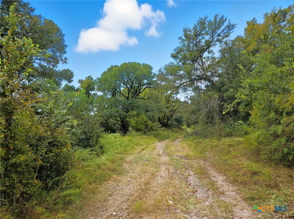 main property photo 8