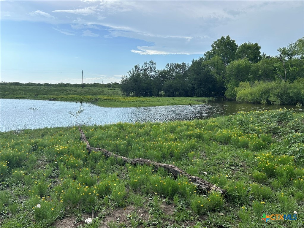 main property photo 39