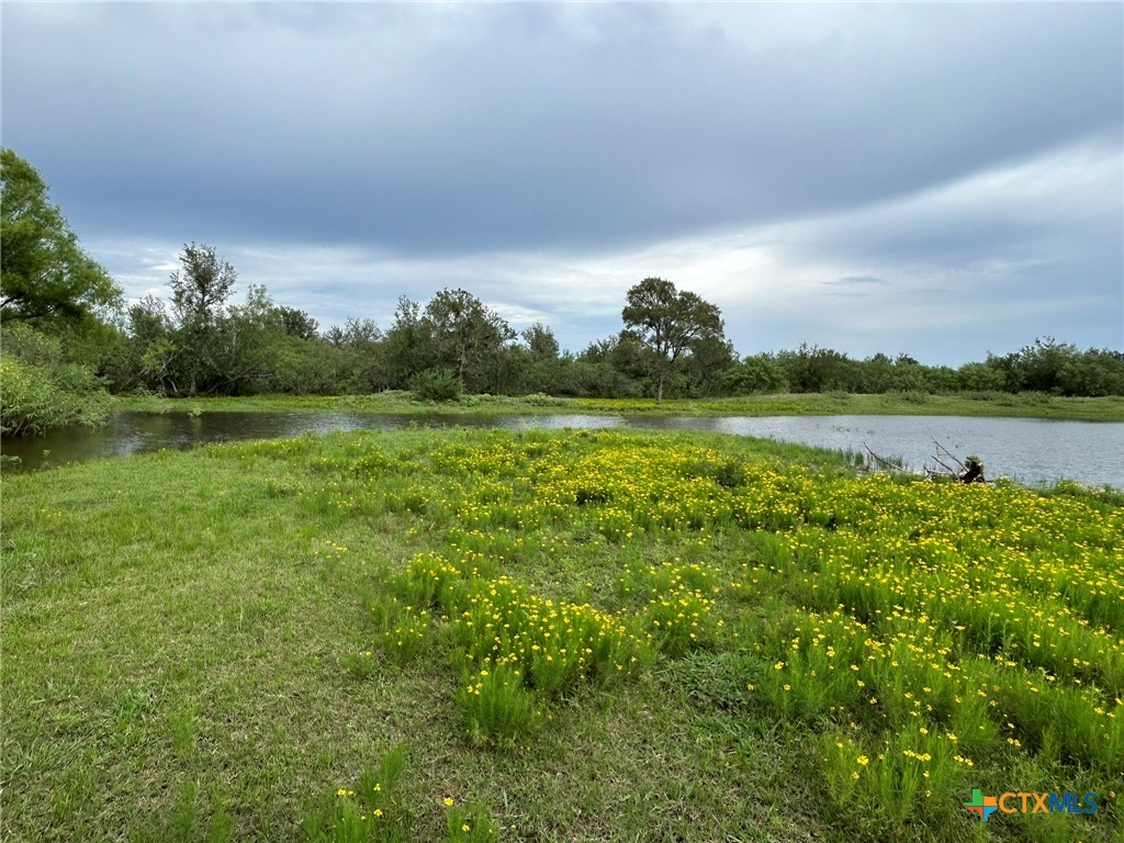 main property photo 41