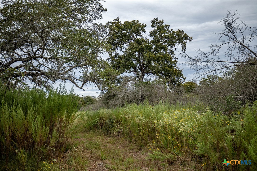 main property photo 11