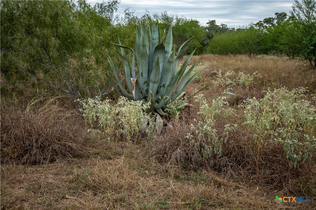 main property photo 13