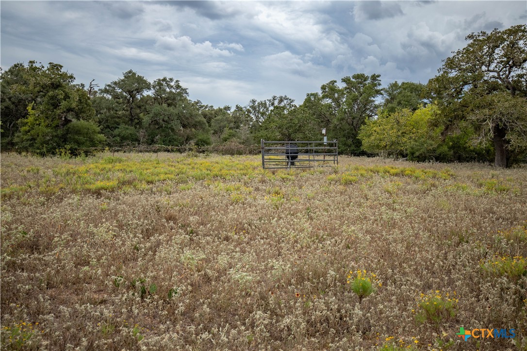 main property photo 17