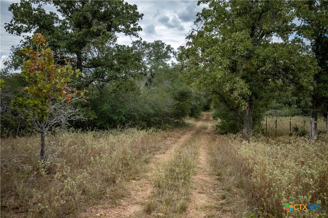 main property photo 23