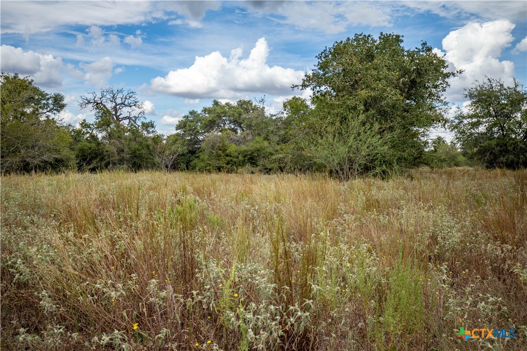 main property photo 29