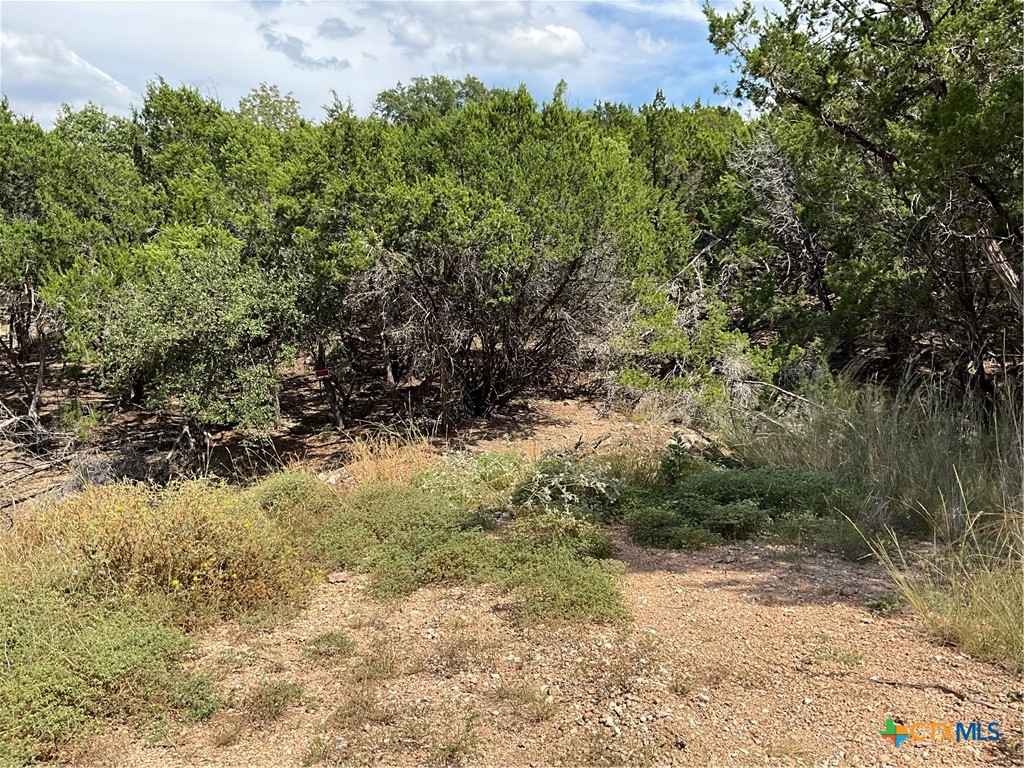 main property photo 11