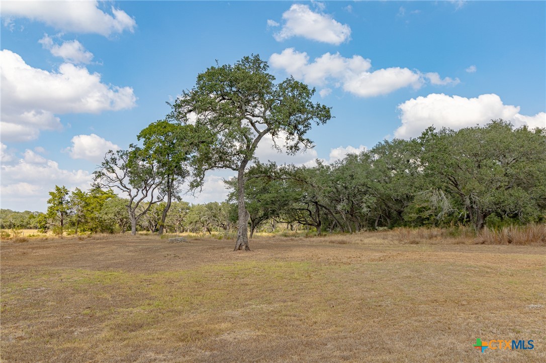 main property photo 26