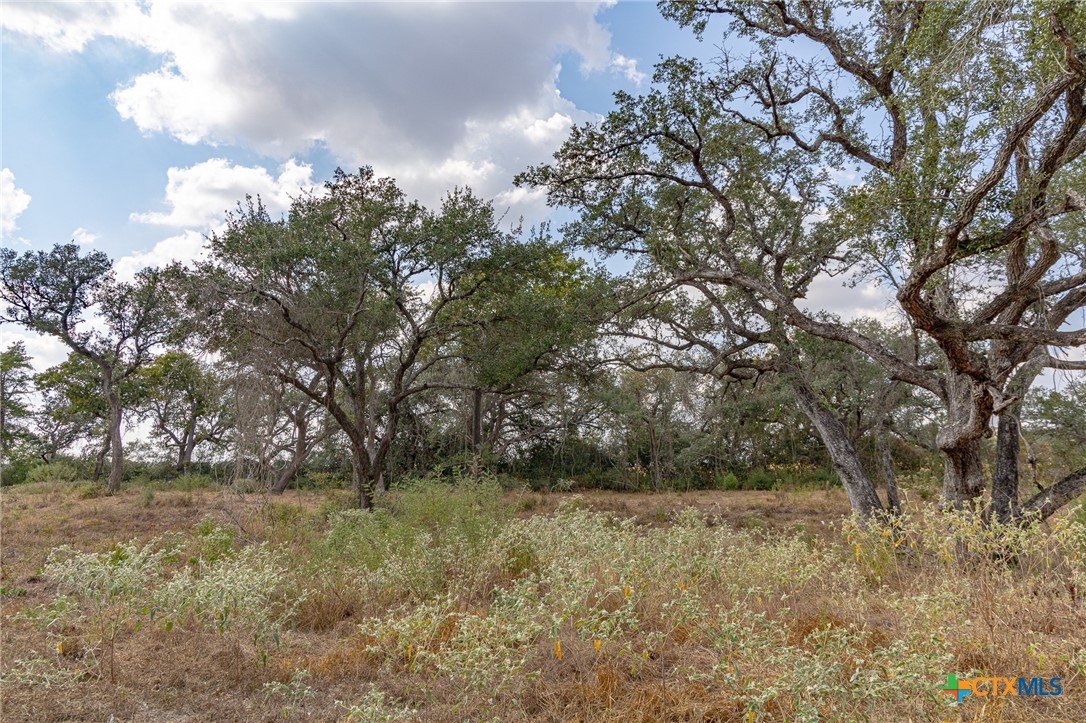 main property photo 37
