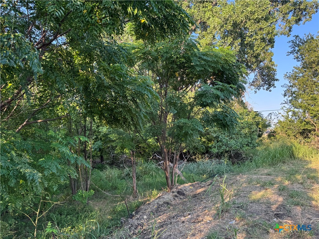 main property photo 12