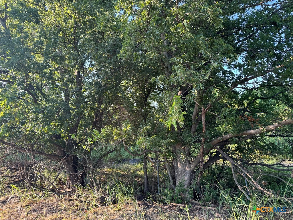 main property photo 9