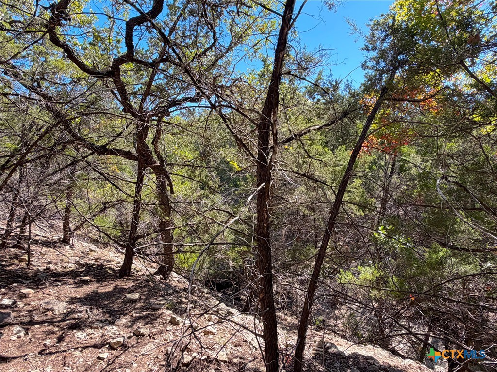 main property photo 11