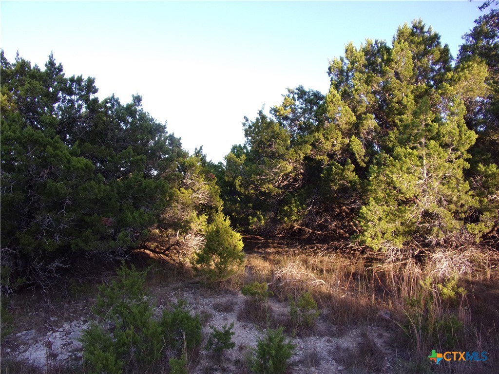 main property photo 10