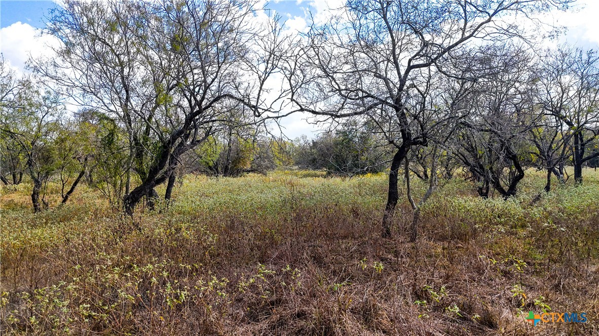 main property photo 37
