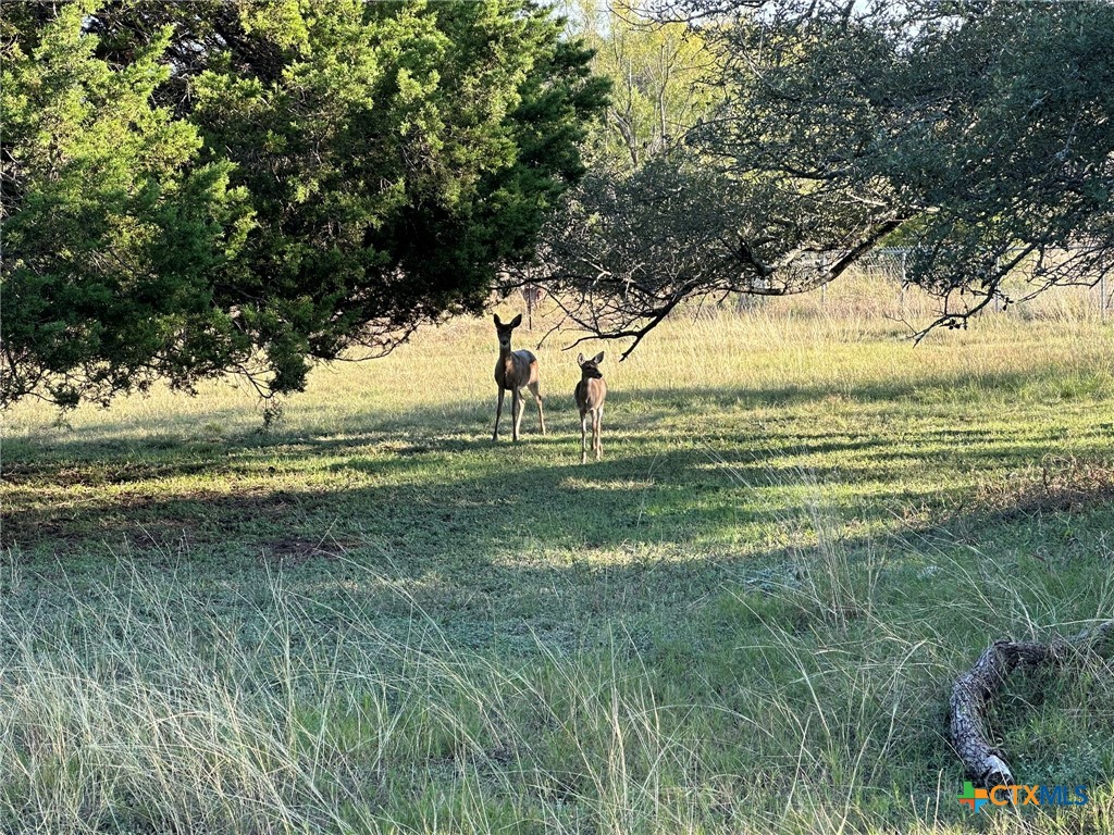 main property photo 11