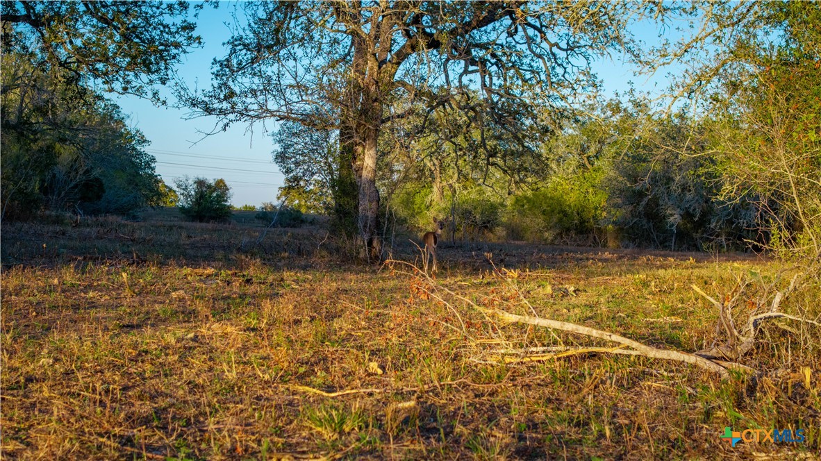 main property photo 21