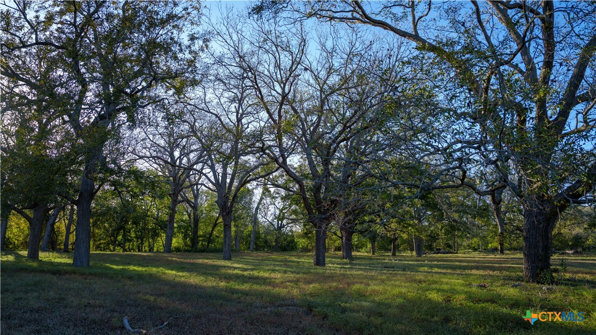 main property photo 35