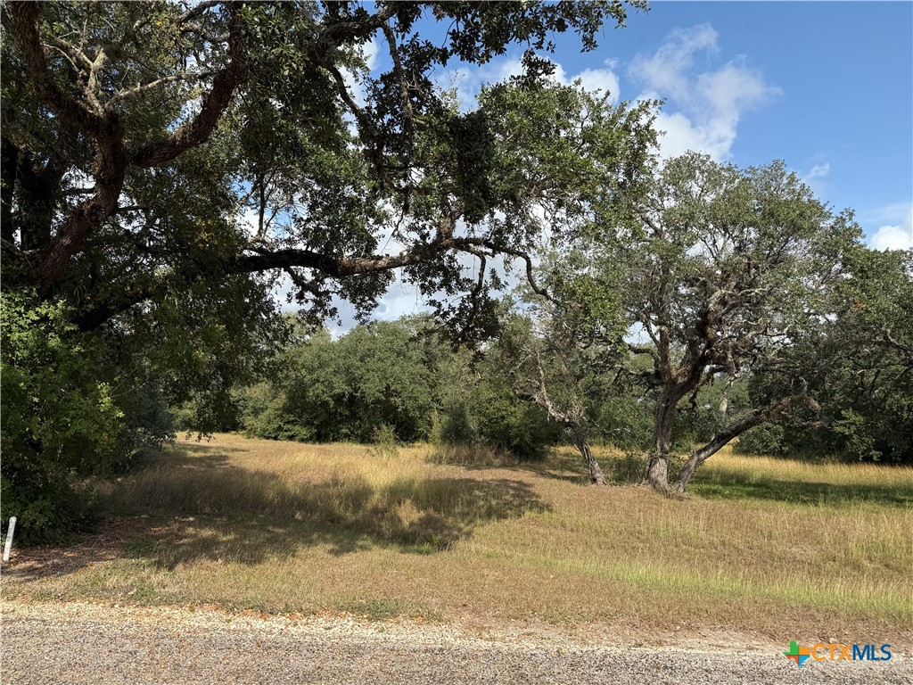 property viewer photo 2