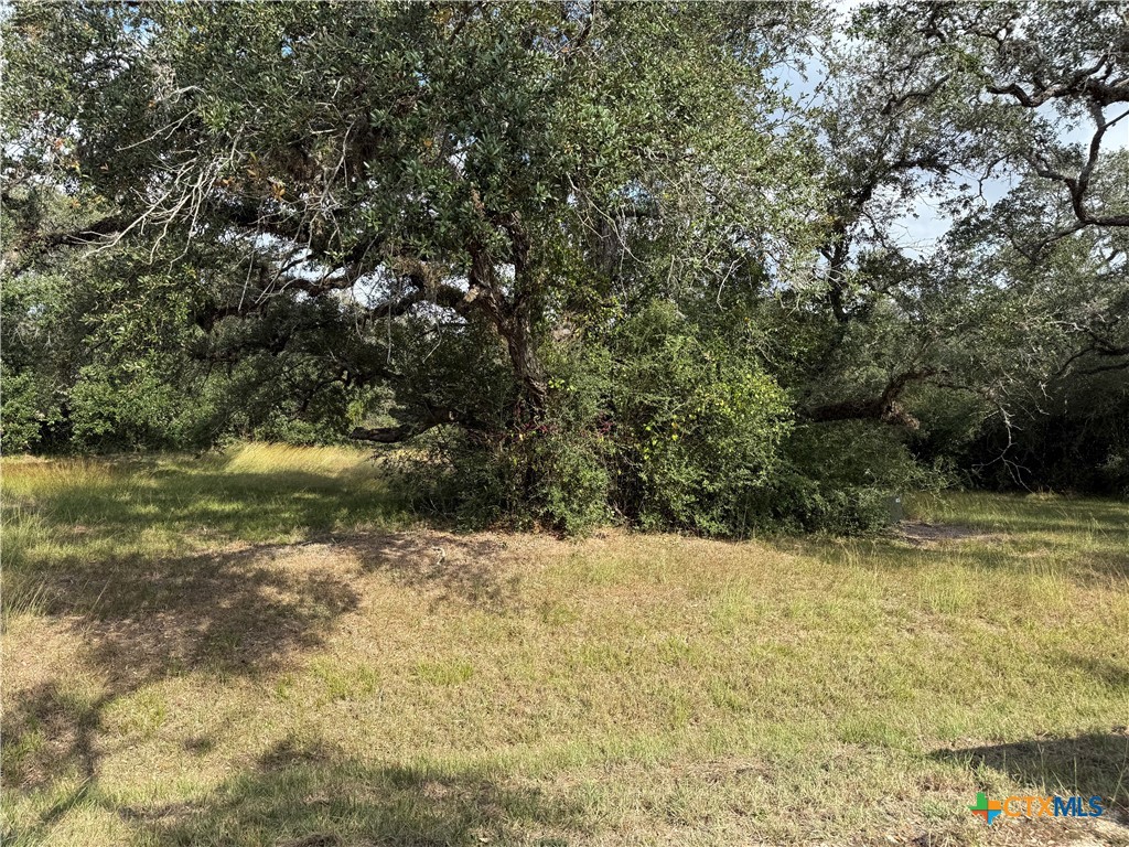 property viewer photo 3