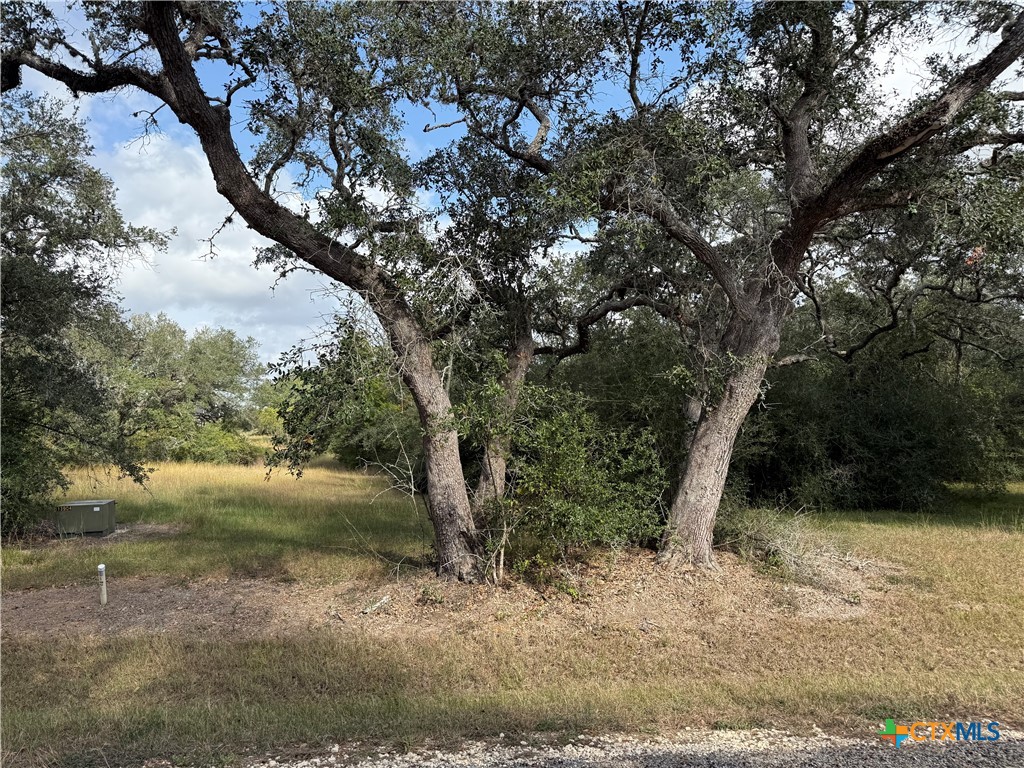 property viewer photo 4
