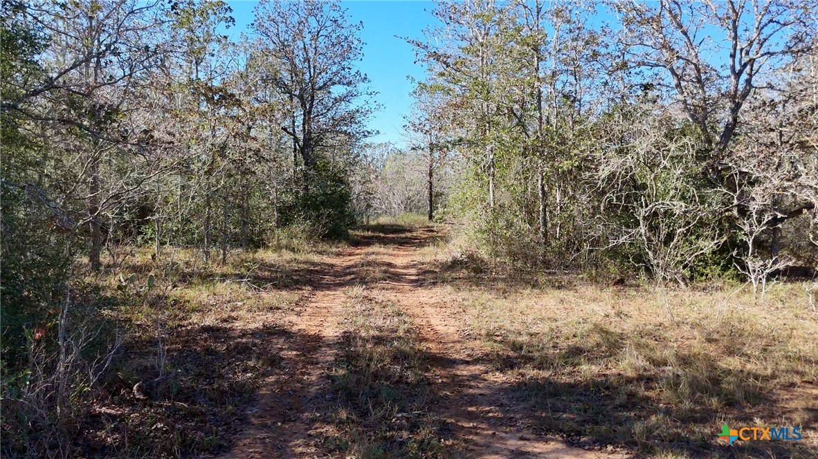 main property photo 33