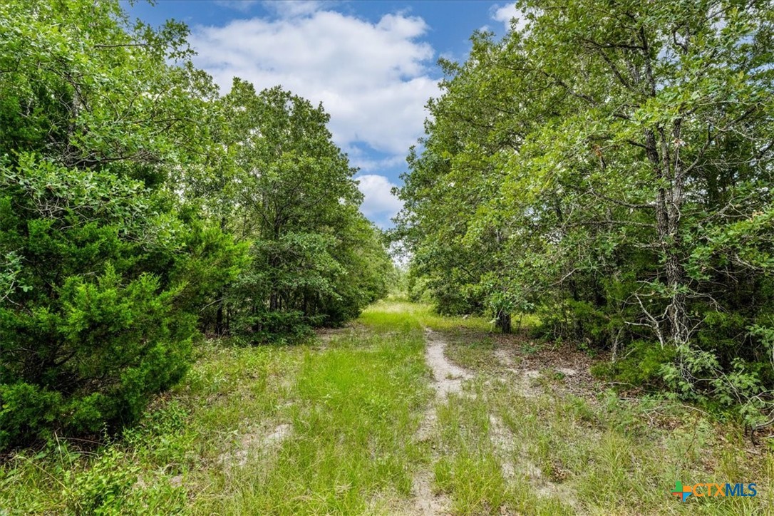 main property photo 7