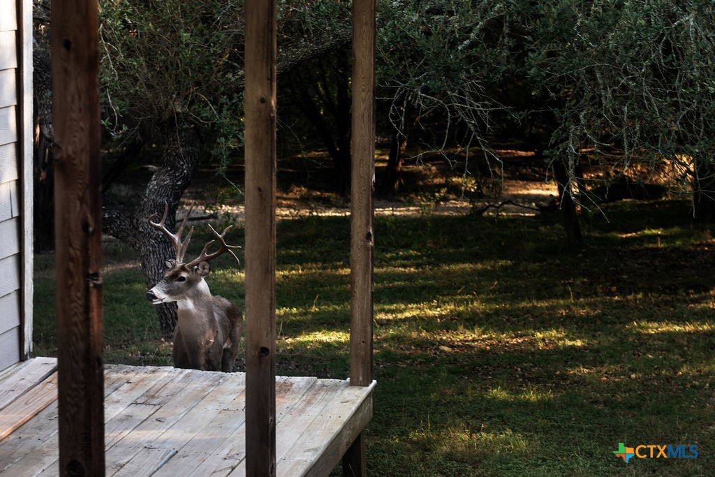 main property photo 21