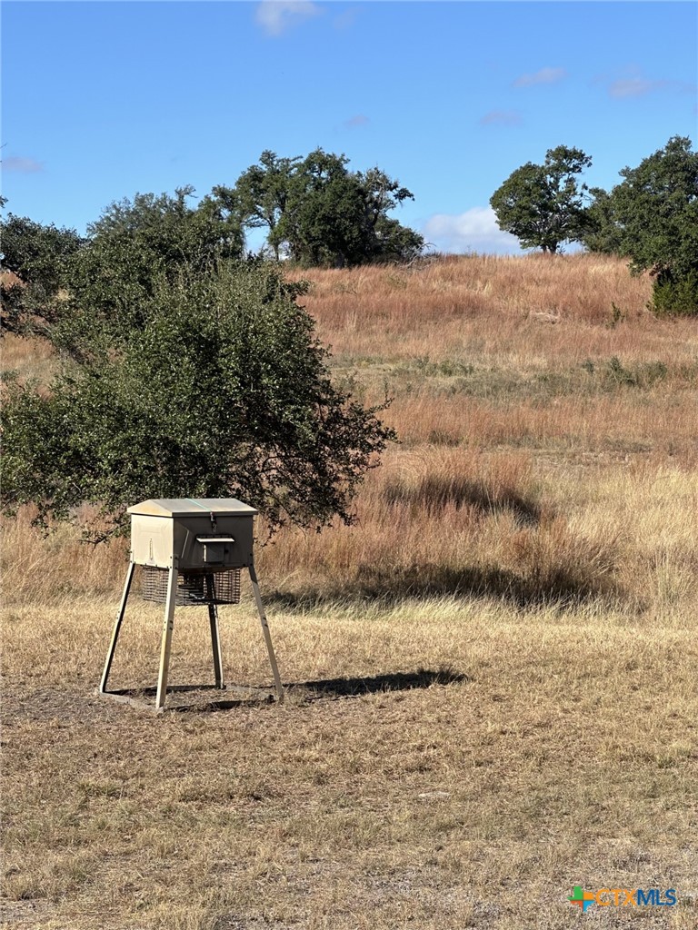 main property photo 11