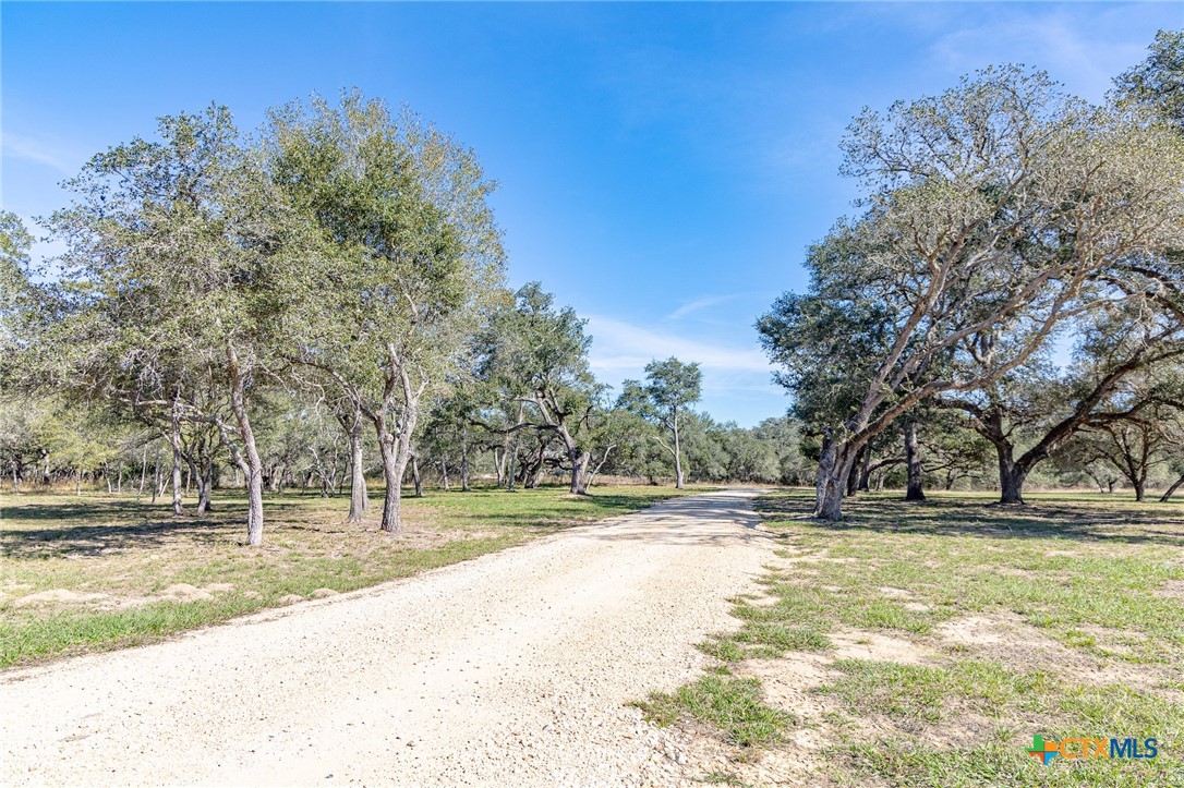 main property photo 39