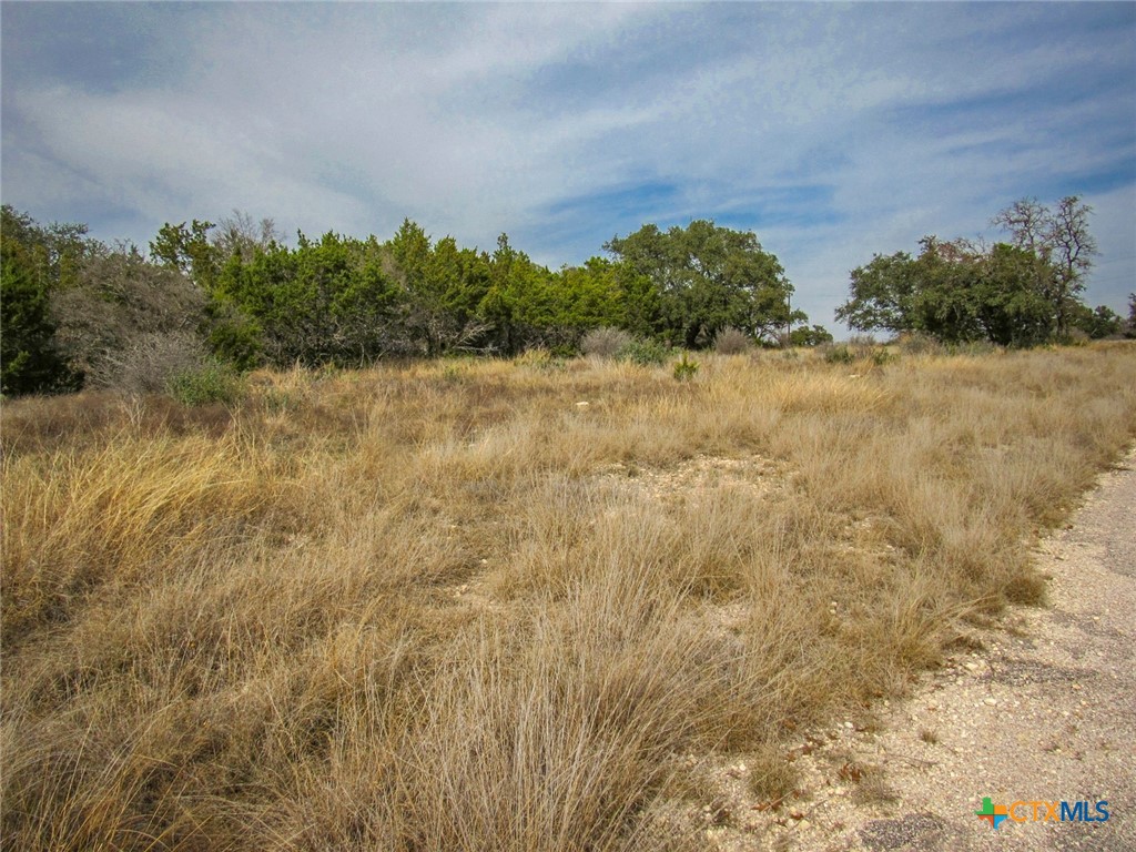 main property photo 10