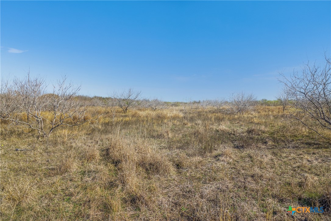 main property photo 44
