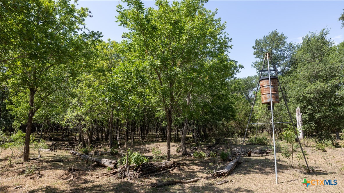 main property photo 31