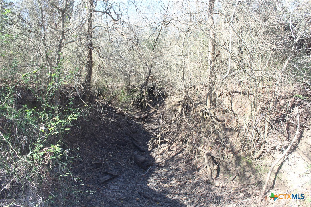 main property photo 10