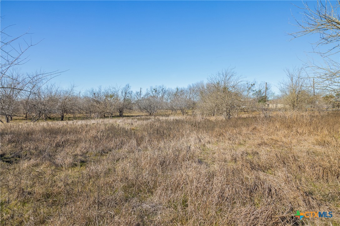 main property photo 43